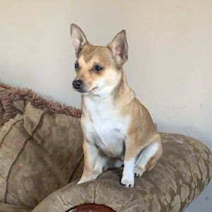 Meet your Posher, Maribel